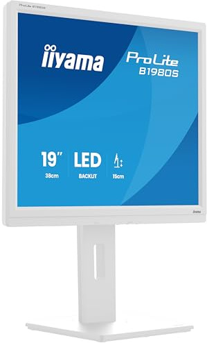 iiyama Monitor de Escritorio, B1980S-W1-19, TN, 1280x1024/75Hz, 1H1DP, HAS