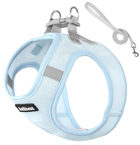 Anlitent No Pull Dog Harness with Soft Padded, Adjustable Escape Proof Puppy Harnesses 10 Weeks, Quick Fit Service Vest Harness Collar for Small Dogs, Maltese, Toy Poodle 6lbs (Blue, XS)