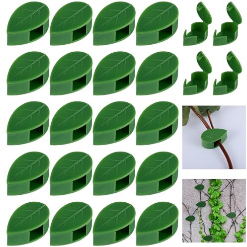 Ouligay 20 Stück Wand Pflanzenclips für Kletterpflanzen Pflanzenhalter Wand Selbstklebende pflanzenklammern Kletterhilfe Pflanzen Clips Befestigung Wandhalterung Plant Climbing Wall Clips