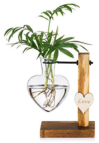 Vase en Verre avec Support en Bois, Vases Hydroponiques en Verre à Cœur Unique Créatifs, Station De Propagation De Plantes Modernes Vase D'ampoule De Planteur De Bureau