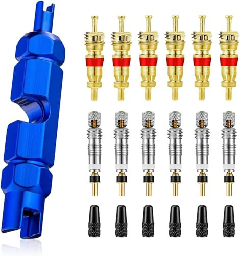 Ventilschlüssel Fahrrad, Fahrrad Ventil-Einsatz, Französisches Ventil Sclaverand Presta Ventileinsatz, Schrader Valve Core, Ventilkappen, Presta Schrader Konverter, Ventilkernentferner-Werkzeug