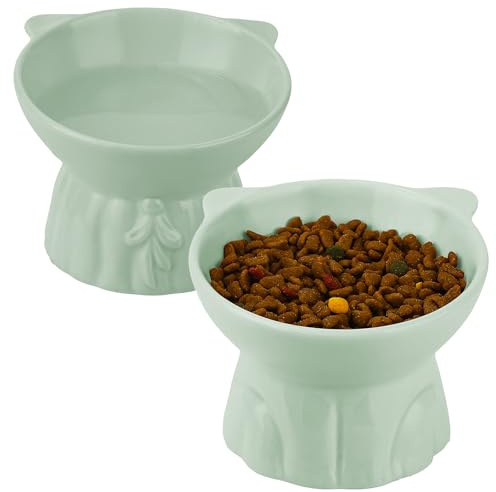 Ceramic Elevated Cat Bowls, 2 Extra Wide Raised Cat Bowl for Food and Water, Shallow cat Food Dish Whisker Friendly, Anti Vomit Cat Bowls Microwave and Dishwasher Safe, Great Height (Green)