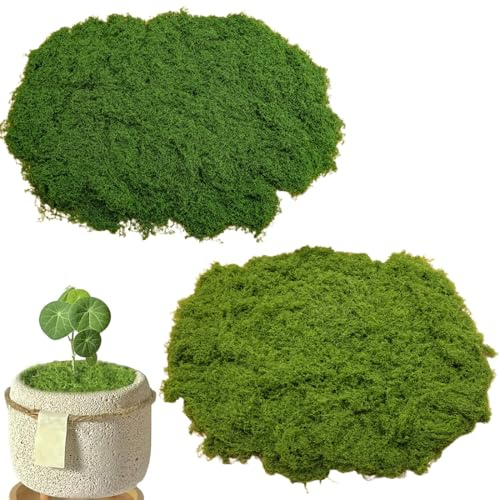 VEOIRXU 200G Muschio Artificiale Muschio Finto per Decorazioni Muschio l'Artigianato Muschio Sintetico per Bricolage Modellismo Parete Casa Decori Natale Pasqua (100G Verde Scuro+100G Verde Chiaro)