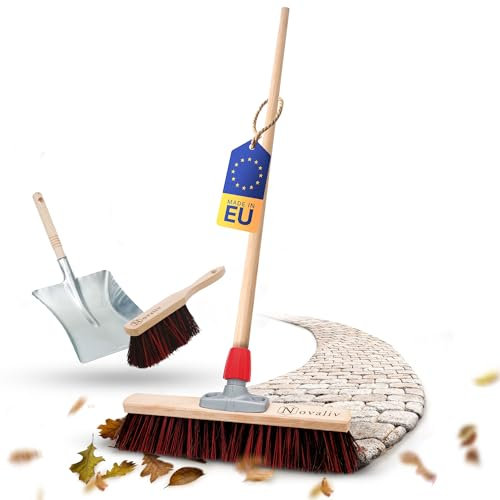 Novaliv Set de balayage I Balayette avec pelle 40 cm Arenga-Elaston I Balai de jardin avec pelle