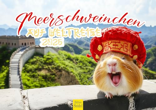 Edition Seidel Premium kalender marsvin på världsresa 2026 format DIN A4 väggkalender djurkalender djur med roliga talesätt humor