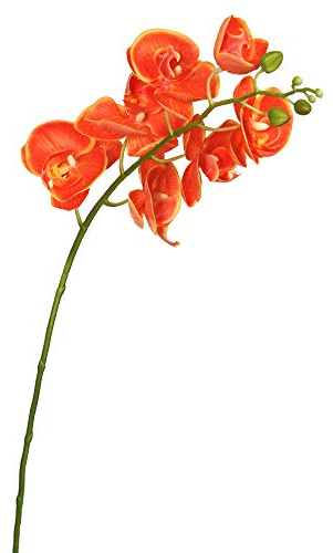 Vickerman FA172203 Everyday Orchid Stem