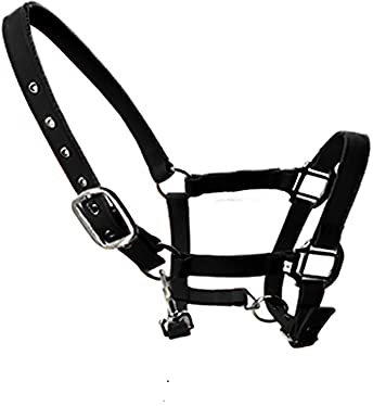 tooloflife Verstellbares Halfter mit Pferdeaufdruck, gepolstert, Nylon, für Fohlen, Pony, Esel, Schwarz
