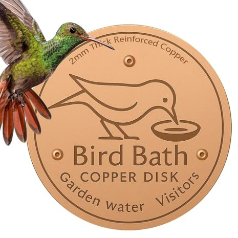 Disco de Cobre para Baños de Aves Discos Limpiadores De Metal