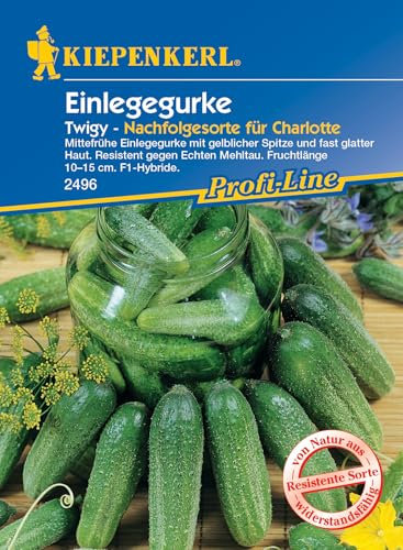 Kiepenkerl Profi-Line Einlegegurkensamen Twigy, F1 2496 - Mittelfrühe Einlegegurke mit gelblicher Spitze und fast glatter Haut - Samen Gemüse - Gemüsesamen