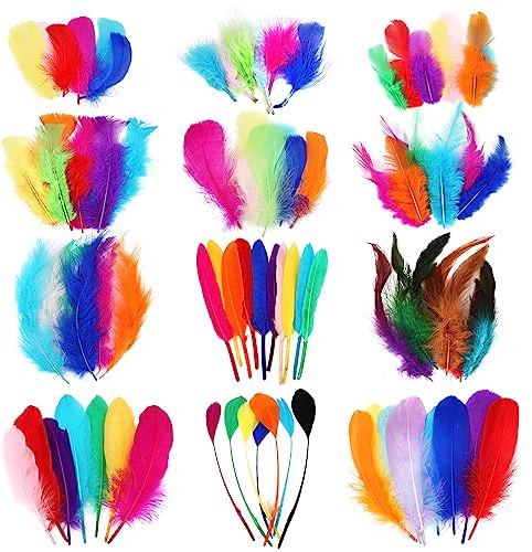 HaiMay 600 Pieces Colorful Feathers Bulk 12 Style Mixed Natural Feathers for Craft Wedding Home Party Decorations Dream Catcher Supplies and DIY Crafts, 3.5-8 Inches Colorful Craft Feather