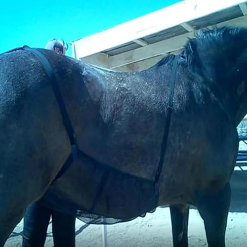 Protezione Per La Pancia Del Telo Antimosche - Protezione Per La Pancia Del Cavallo In Rete Traspirante | Protezioni Antigraffio | Coperte Antigraffio Per, Coperte Elastiche Per Addome D