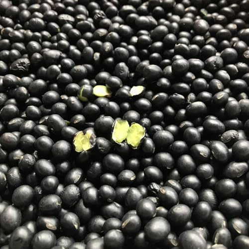 semillas de frijol - semillas de para jardín interior balcón balcón con camas elevadas frijoles negros jardín - Serie Raras bonsái 400pcs