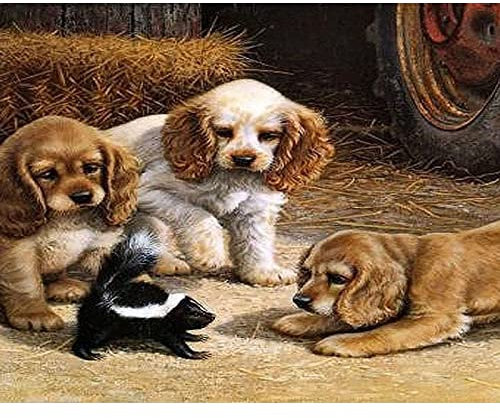 40 * 50 cm tableau de peinture par chiffres sur mur de toile sans cadre Peinture à l'huile par chiffres Kits Set for adultes, enfants, débutants avec pinceaux décoration murale maison ( Color : Z )