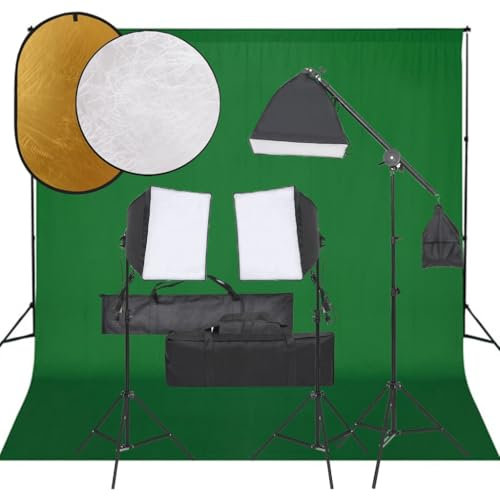 vidaXL Kit de Estudio Fotográfico con Set de Luces, Fondo y Reflector Soporte Pantalla Foto Video Sistema Lámparas Luz Iluminación Plegable