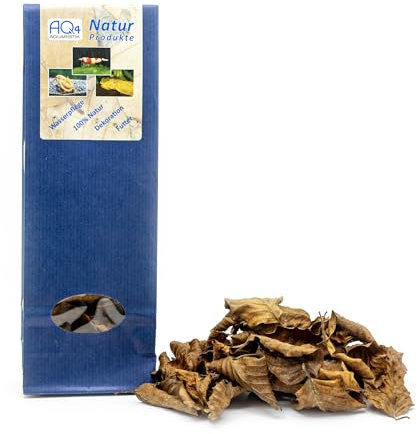 Buchenlaub - 40 Buchenblätter - getrocknet - Dekoration, Futter, Wasserpflege fürs Aquarium, Naturprodukt