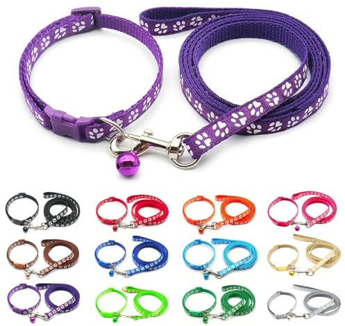 Foyscr Ensemble collier pour chiot avec laisse, collier et laisse pour chien, collier réglable en nylon souple pour chiot, chat, confortable et durable (violet foncé)