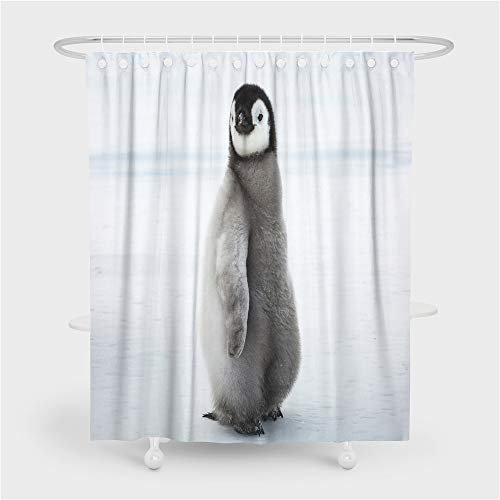 Chickwin Chickw1 Duschvorhang Wasserdicht Schwarz Weiß Pinguin, 100% Polyester 3D Stielvoller Digitaldruck mit 12 Duschvorhangringe für Badezimmer (90x180cm,Pinguin)