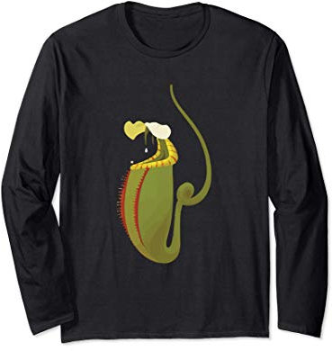 Carnivorous Nepenthes Pitcher Plant - Botany Plant Lover Manche Longue