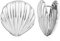 LILIE&WHITE Ohrringe Silberne Creolen im Muschel-Design – Elegante Damen-Ohrringe für einen Hauch von Meer, Perfekt für Alltag und Besondere Anlässe