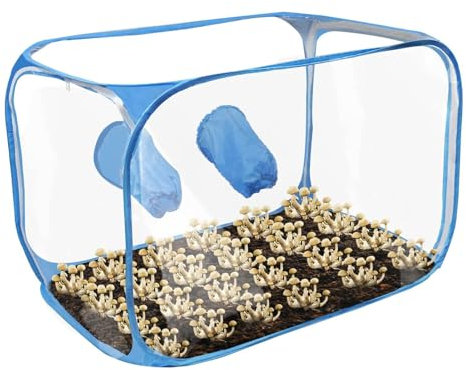 Kit Grande para Cultivo de Setas, Caja para Cultivo de Setas, Tienda portátil para Cultivo de, Estaciones de propagación con Campana extractora, Bolsas para Cultivo de Setas, Suministros