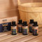 Home Deluxe - Saunaduft ZEN - 5er Set, Mango, Citro Orange, Lavendel, Zedernholz, Eukalyptus-Menthol, je 50 ml I Aufguss Saunadüfte Sauna