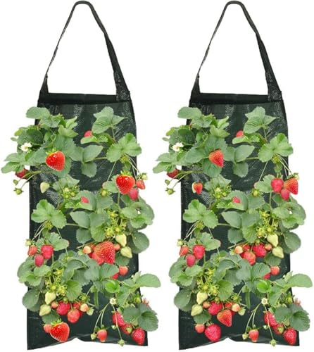 hankousi 2 sacchetti per piante di fragole da appendere, verticali, in polietilene, con 8 fori, per coltivare fragole sospese, con manici, per giardinaggio all'aperto, erbe, verdure