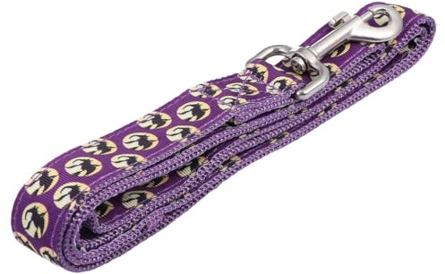 DOITOOL Pet Dog Lead Leash with Halloween Bat Pattern, Polyester Rope for Strength and Comfort, Easy to Control Outdoor Walking and Jogging Leash, Distinctive Purple Design