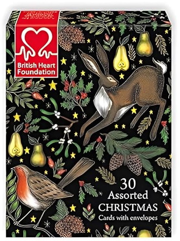 Museums and Galleries Charity Christmas Cards Box of 30 - Charity Christmas Cards with Assorted Artistic Designs - Eco-Friendly Xmas Cards Multipack with Envelopes