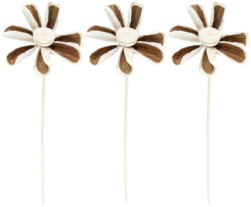 HiyyFloy 3 Pz/Set Aromaterapia Rattan Diffusore di Fragranze Senza Fuoco Aromaterapia Bastone in Rattan Fiore Diffusore Aromaterapia Bastone Fai Te Decorazione della Camera Letto di Casa