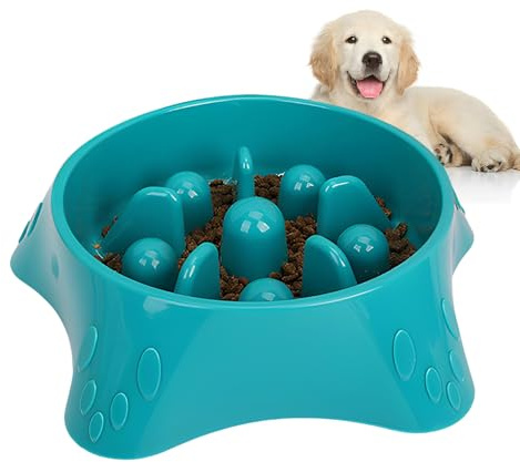 DBAILY Ciotola per Cani, Accessori per Cani che Rallentano il Cibo, Alimentazione Lenta, Blu (24 cm)