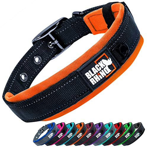 Black Rhino - The Comfort Collar - Collar de perro acolchado de neopreno ultra suave para todas las razas. Resistente, ajustable, reflectante y resistente a la intemperie (L, naranja y negro)