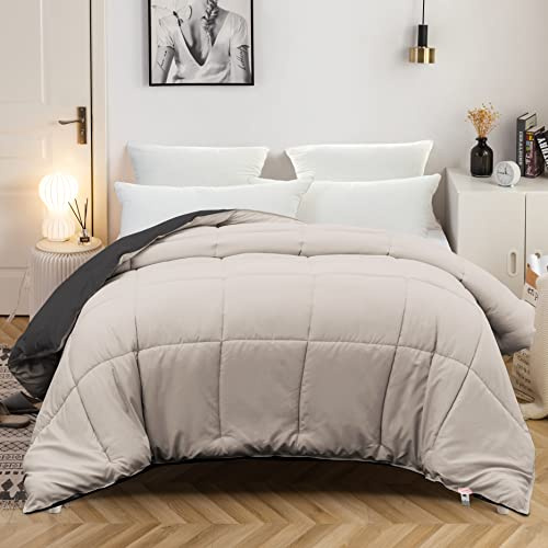 MOHAP Couette Bicolore 4 Saisons d'été Légère 450g/m² 200x200cm Hypoallergénique Beige + Gris Réversible 2 Personnes Edredon