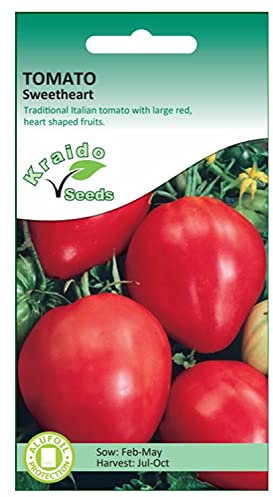 Red Beefsteak Tomato Seeds Sweetheart Solanum Lycopersicum 100 Seeds Grow Your Own Vegetable Ideal for Greenhouse or Garden Growing in Raised Bed Polytunnel Growbags or Large Pots or Containers
