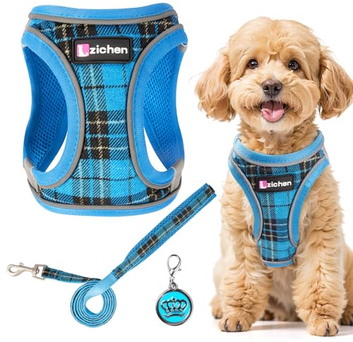 Harnais pour petit chien avec laisse, harnais réglable Step-In pour chiots, réfléchissant, respirant, pour les promenades, l'entraînement, les activités de plein air