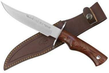 Muela Cuchillo de caza Cazorla CAZ-16R con hoja de acero inoxidable MoVa y empuñadura de madera rosewood para Caza, Pesca, Supervivencia y Bushcraft + Portabotellas de regalo