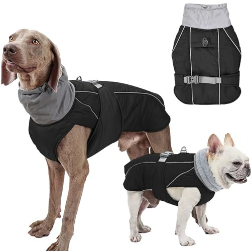 Hundemantel Wasserdicht Rollkragen Winterhundekleidung Verdickte Hund Warme Hundejacke mit Geschirr Loch Reflektierende Mäntel Jacken Weste Mantel für kleine mittlere große Hunde (Schwarz, M)