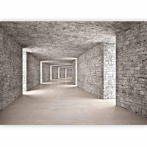murando Photo Wallpaper 3D Tunnel 147x105 cm Peel and Stick Self-Adhesive Foil Print Wall Mural Wand Wall Brick Textur d-B-0332-a-a