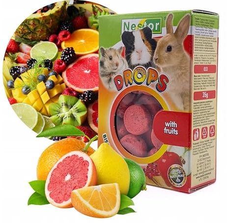 Rabbits Hamster Natural Biscuit Drops for Pet Rodents Guinea Pig Degu Rat Chinchilla Food Treats with Fruits 35g Snacks