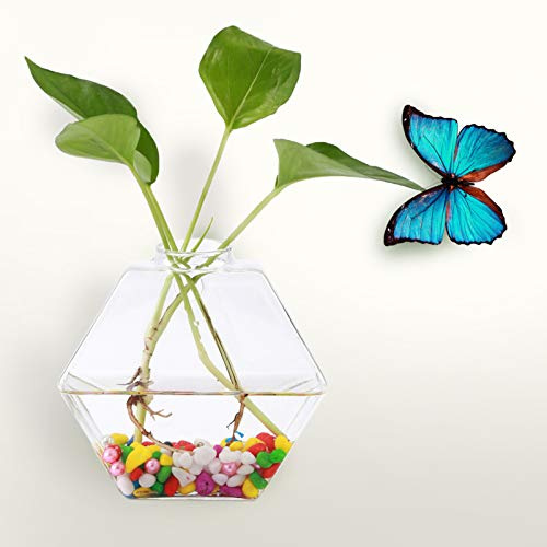 Mumusuki Jarrón de Cristal Colgante con Forma de Ratón Hidropónico, Funda de Colchón con Cremallera, Recipiente para Plantas, Macetero de Cristal para Colgar en la Pared, para Propagar