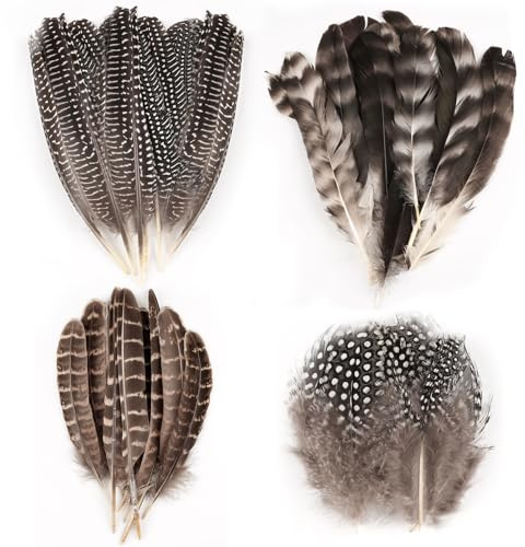 50 Pcs 4 Styles Natural Feathers for Crafting, Brown Pheasant Feathers, Speckled Craft Feathers, 13-19 Cm Pheasant Tails for DIY Hats Party Deco Cosply Dream Catchers - 4 Sizes