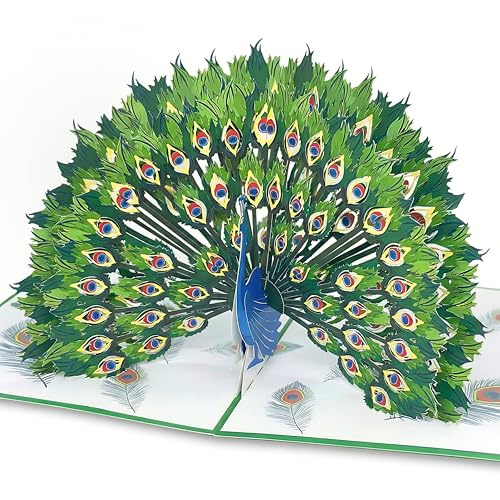 Peacock Majesty Pop Up Card – Handmade Female Birthday Cards for Her & Special Friend – 3D Peacock Greeting Card with Envelope