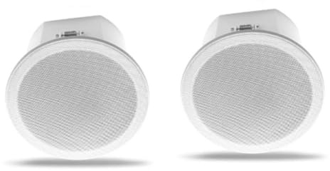 RIYAN Amplificateur Intégré Gamme Complète Bluetoothback Cover Home Cinéma Musique de Fond Haut-Parleur de Plafond (B) Installation Facile Facile à Utiliser