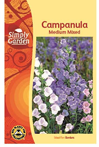 Simply Garden Campanula Medium Mixed Seeds Grow Your Own Colourful Plants