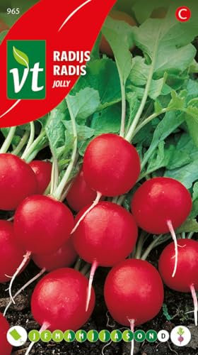 Jolly Radish Seeds per Gram - Round Scarlet red and milder in Taste - 8 g - Seeds per Gram: 120