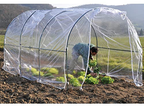 KASART Invernadero de huerto agrícola Gallery 200 x 300 x 175 cm de altura – Plantas huerto árboles