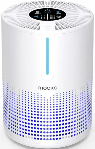 Air Purifiers for Bedroom Home 430 Sq.Ft, MOOKA H13 HEPA Filter Small Portable Air Purifier with USB Cable Fragrance Sponge for Smokers Pollen Pets Dust Odors, Desktop Air Cleaner for Car RV, M01