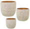 DRW Lot de 3 Pots en céramique Blanc et doré craquelé 30 x 30 x 28 cm
