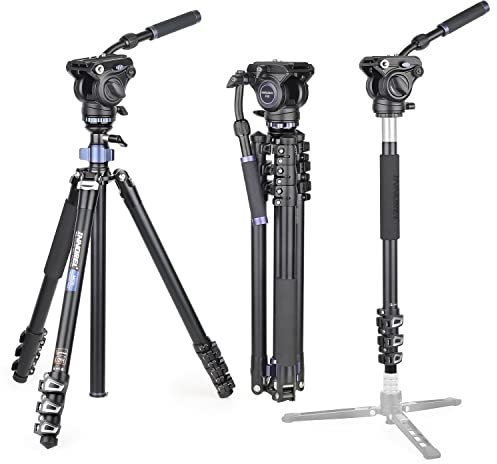 INNOREL MT70 Trípode para cámara de Video Profesional 183 cm, con Cabezal de Arrastre Fluido, trípode de Aluminio Compacto de 4 Secciones Convertible a monopié para cámara DSLR, videocámara
