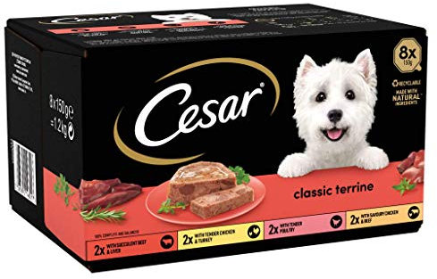food Cesar Classics Terrine - Wet Dog for Adult Dog 1 + Mixed Selections in Jelly, 8 Trays (8 x 150g)