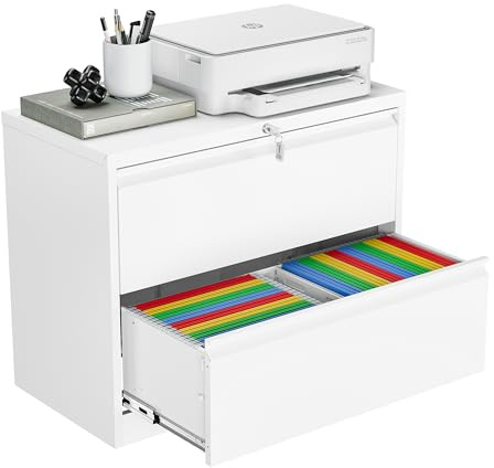 Armadio di Ufficio Chiudibile Con 2 Cassetti - Classificatore Metallico, Cassettiera da Ufficio Studio Scrivania, Armadietto in Metallo Acciaio, 90 x 40 x 73 cm, Bianco